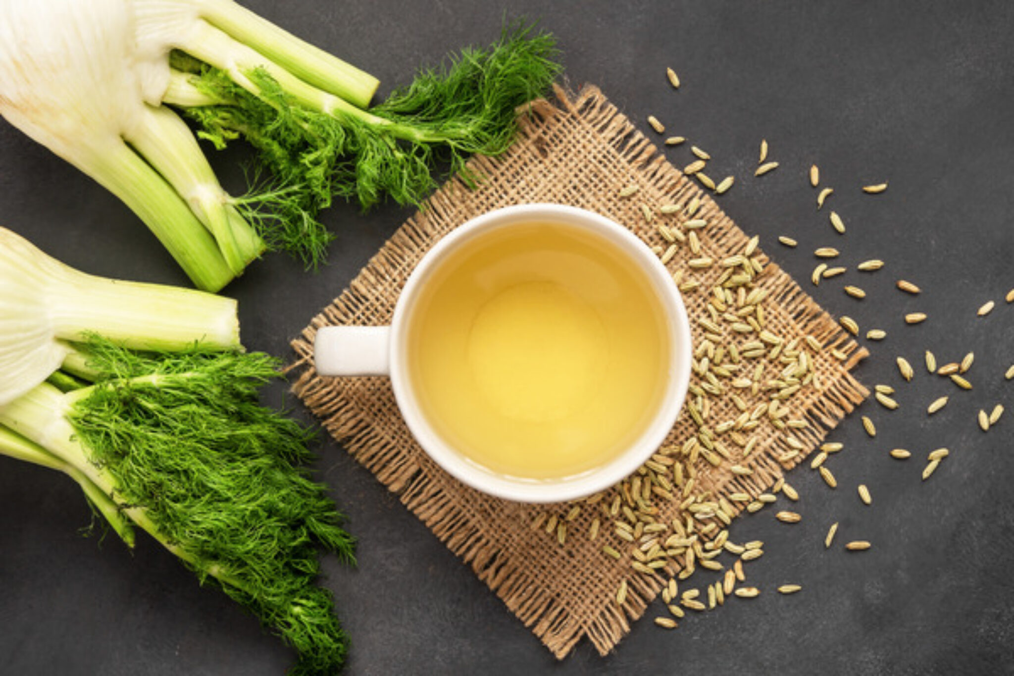 How to Grow and Care for Fennel Your Ultimate Guide! TopBackyards