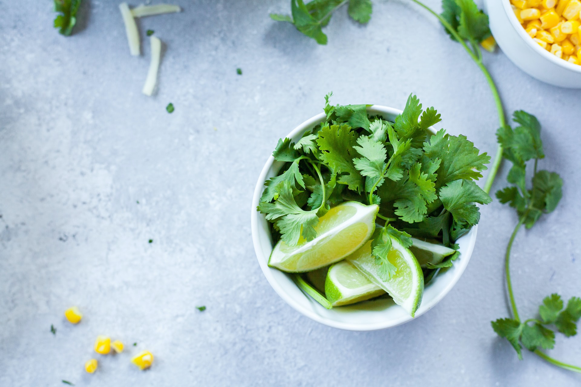 how to grow coriander