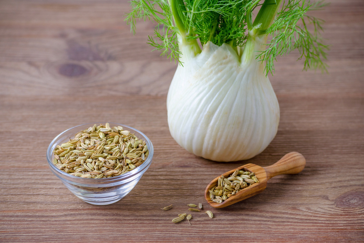 how to grow fennel