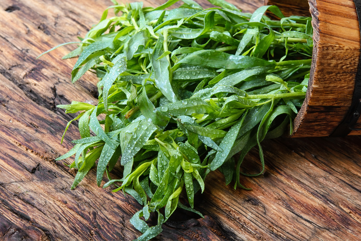 a tarragon bunch