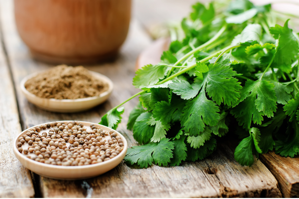 nutritional benefits of coriander