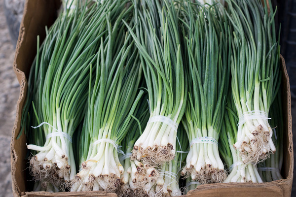 storing chives