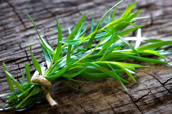 tarragon bunch