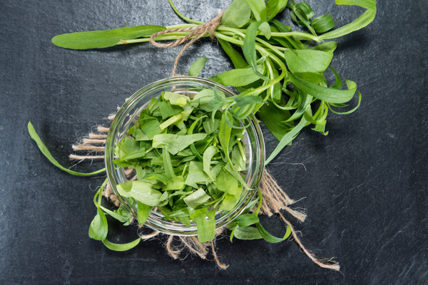 tarragon leaves