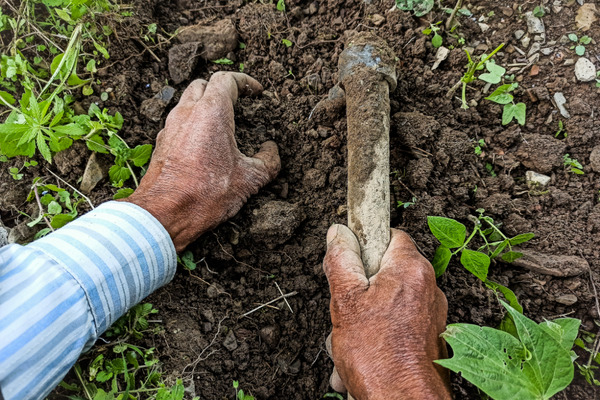 tilling soil by hand