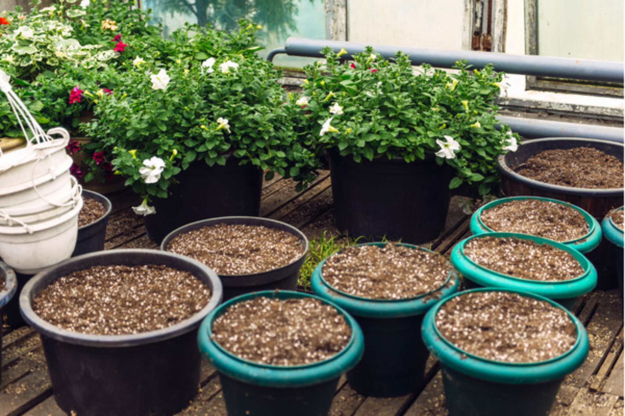 How to Make WellDraining Soil for Indoor Plants TopBackyards