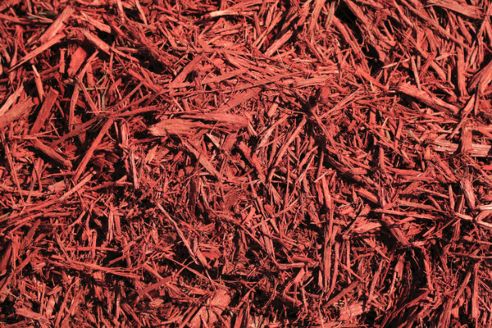 What is Red Mulch? A Brief Guide to Mulching TopBackyards