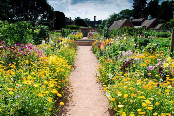 a flower garden