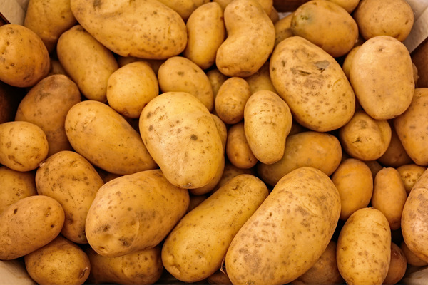 a lot of potatoes