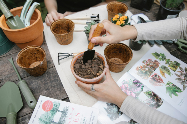 filling pots with potting mix