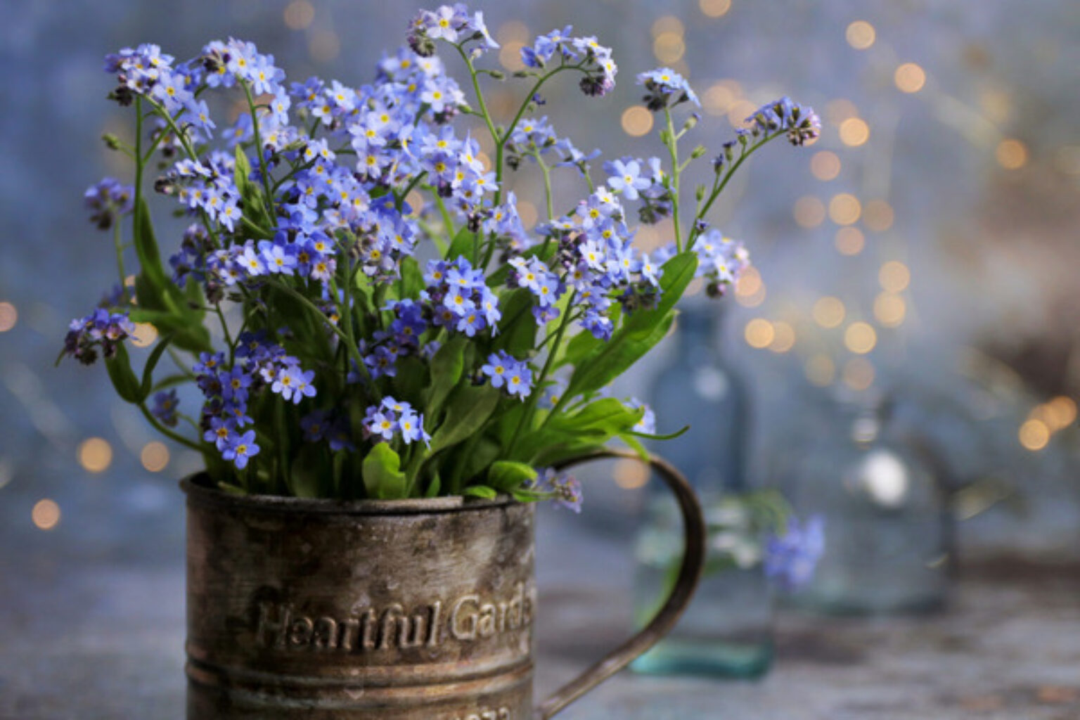 Are Me Nots Toxic to Cats and Dogs? TopBackyards