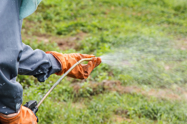 spraying herbicides