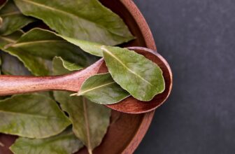 a bay plant in a plate