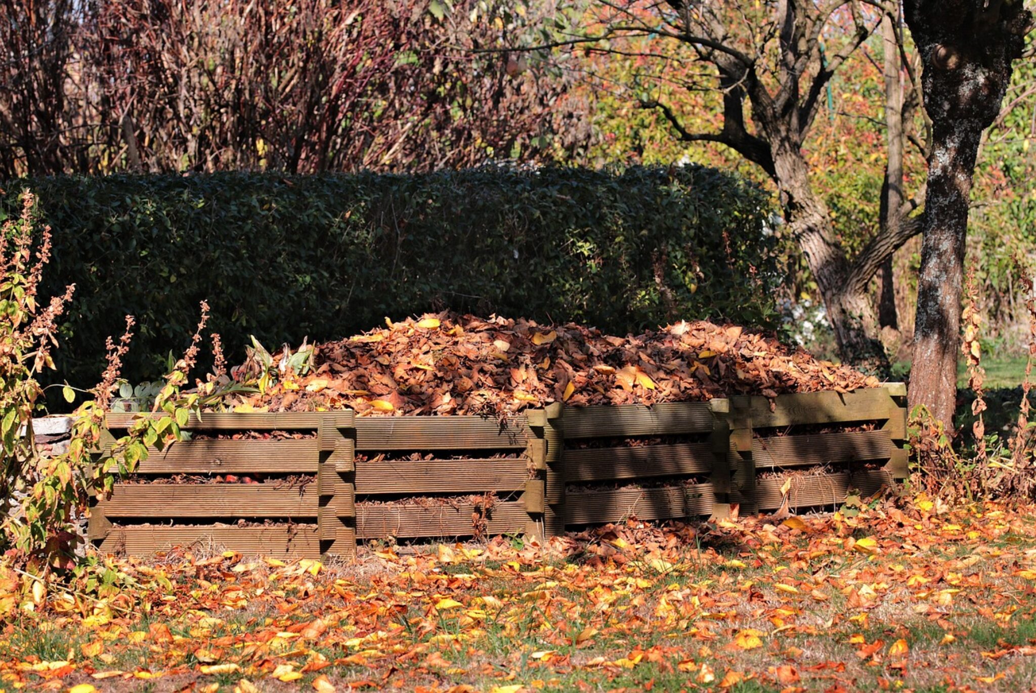 Leaf Composting and Its Benefits TopBackyards