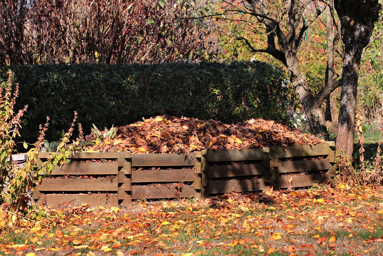 leaf compost