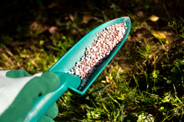 some fertilizer in a trowel