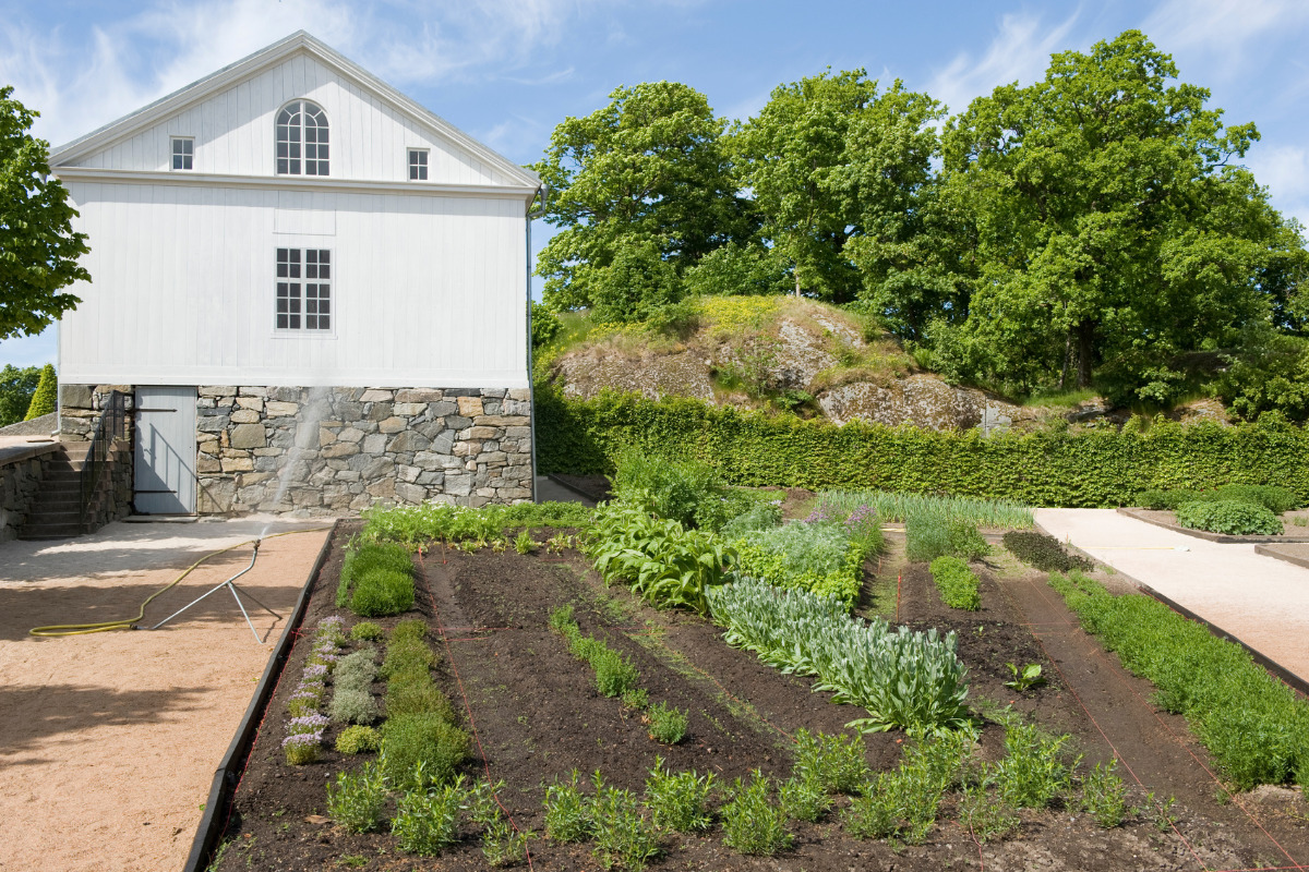 a big kitchen garden