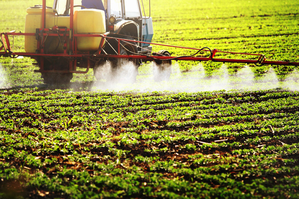 chemicals and pesticides
