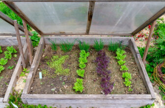 how-to-grow-cold-frames