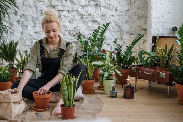 lady with plant pots