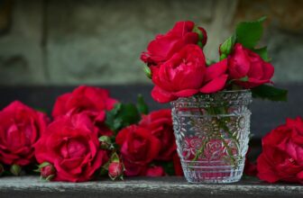 red flowers in a vase