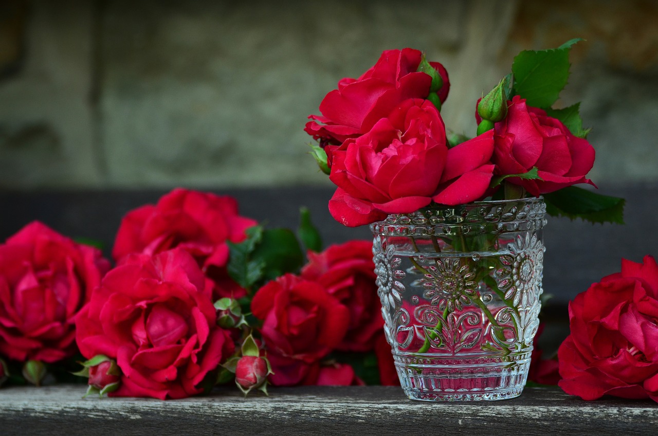 red flowers in a vase