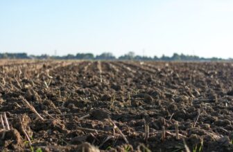 soil ph levels
