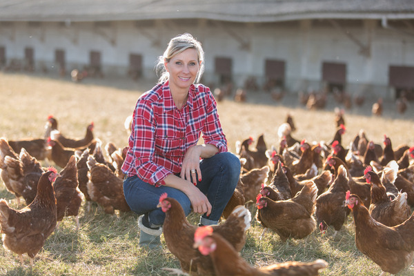 taking care of chickens