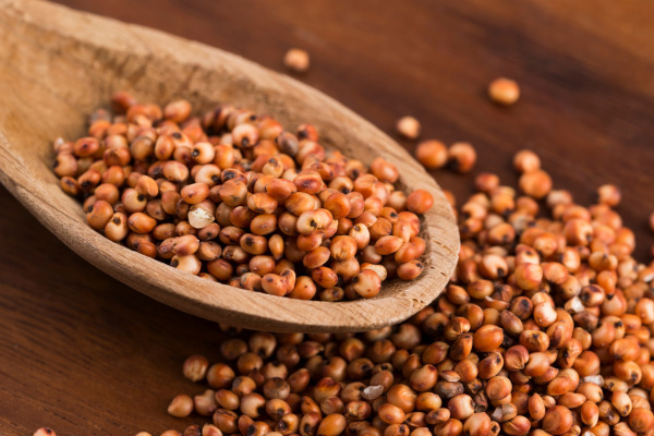 sorghum in a spoon