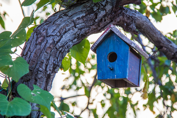 A blue birdhouse hanging from a tree, offering a nesting spot for birds.