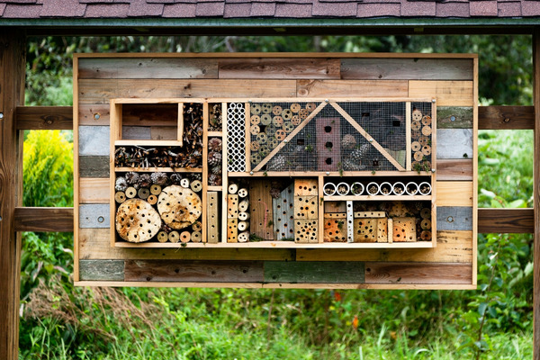 A multi-compartment bee hotel in a backyard to support local bee populations.