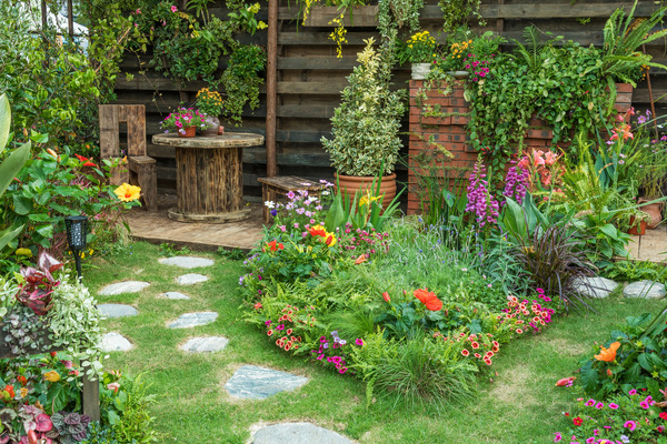 A cozy backyard garden with a variety of plants and flowers, creating a haven for pollinators.