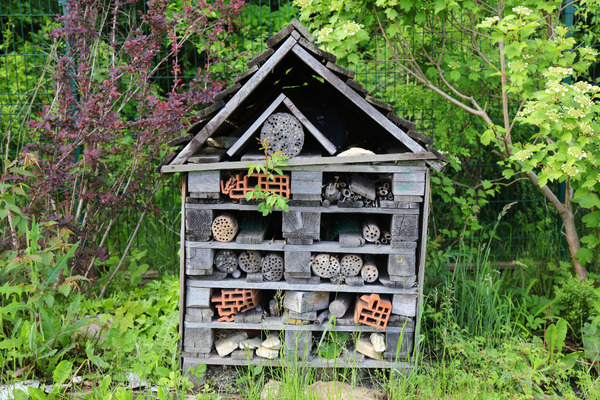 Wooden bee hotel in a lush garden, providing shelter for solitary bees.