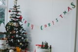 14 Best Christmas Plants and Flowers