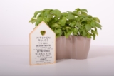 The Benefits of an Indoor Herb Garden