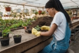 How to Make Well-Draining Soil for Indoor Plants