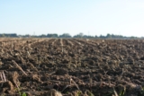 All About Soil pH Levels – A Beginner’s Guide
